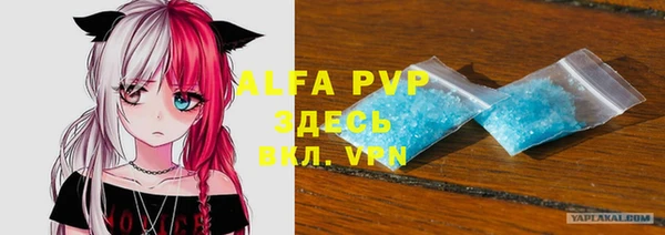 индика Нея