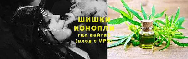 индика Нея