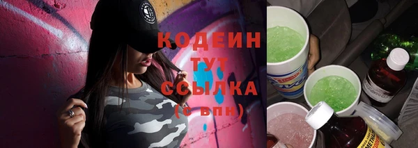 индика Нея