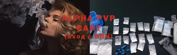 индика Нея