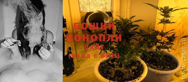 индика Нея