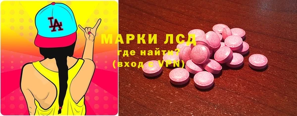 индика Нея