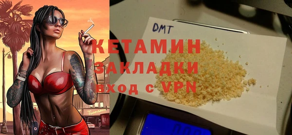 индика Нея