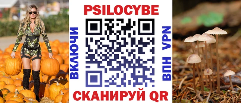закладки  Энем  Псилоцибиновые грибы Psilocybe 